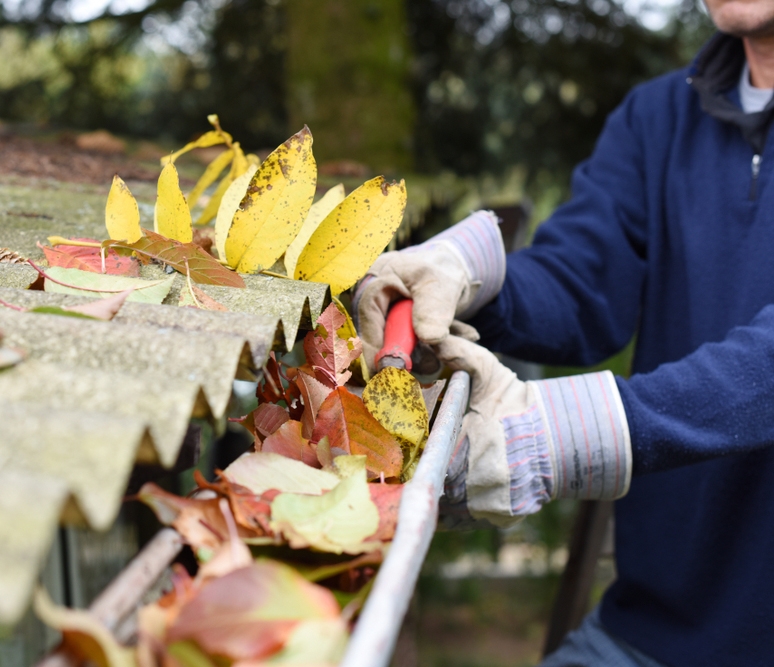 Gutter Cleaning Special